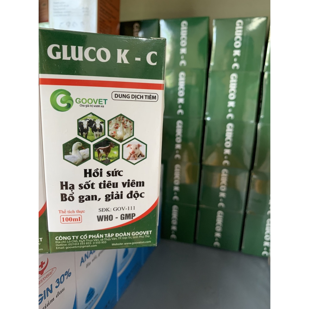GLUCO K-C  cung cấp glucose, vitamin và thảo dược.....