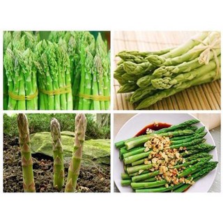 [SIÊU RẺ]Hạt Giống Măng Tây Xanh