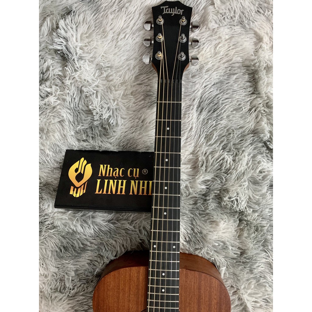 Đàn guitar acoustic taylor T0021