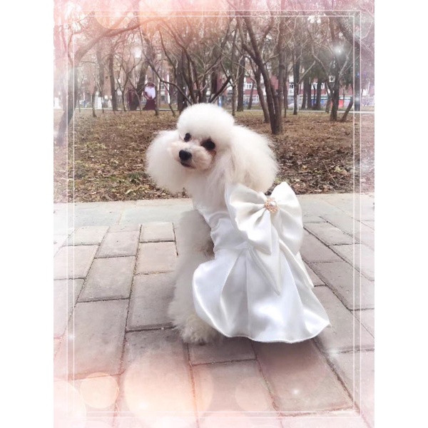 Đầm Váy Công Chúa, Váy Cưới Cho Chó Mèo Thú Cưng, Đính Nơ To Thiết Kế Cao Cấp