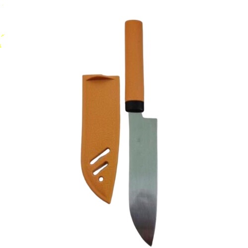 Dao gọt hoa quả trái cây sắc mini có vỏ đựng hình con cá GD167