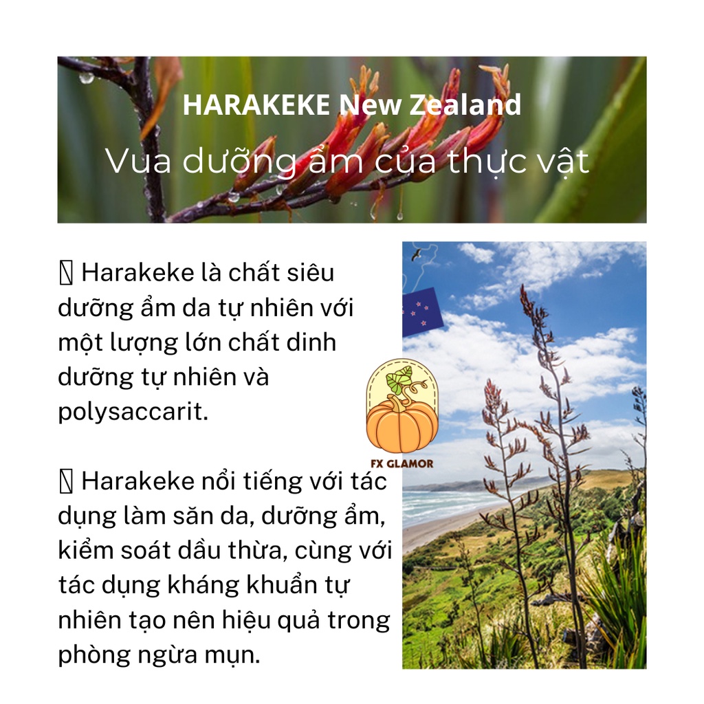 Set dưỡng da THE SAEM URBAN ECO Harakeke - Toner 100ml + Sữa dưỡng 100ml