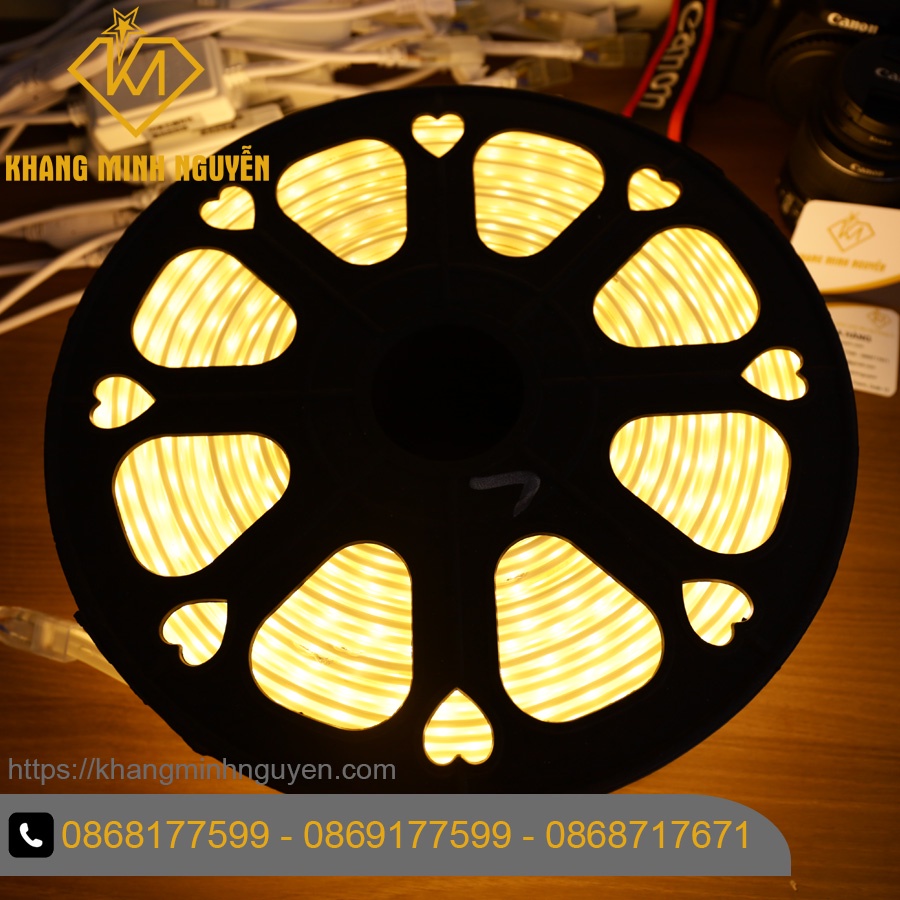 [Bán giá sỉ] Led dây 220V 2 hàng bóng - bọc chống nước - Trắng - Vàng - Xanh dương - dùng trang trí trần, quấn thân cây