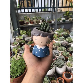 Chậu thú trồng sen đá dễ thương