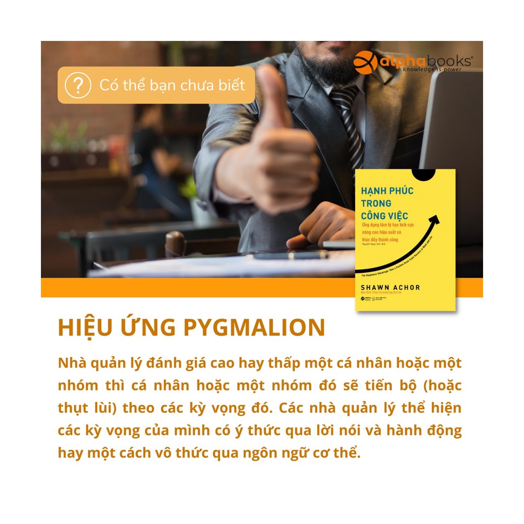 Sách - Hạnh phúc trong công việc