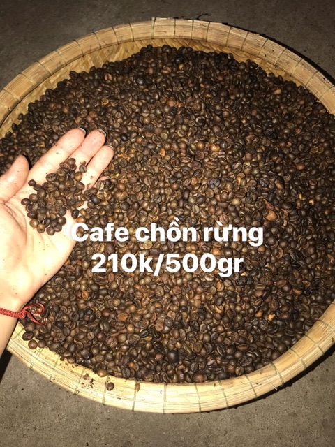 Cafe chồn đã rang