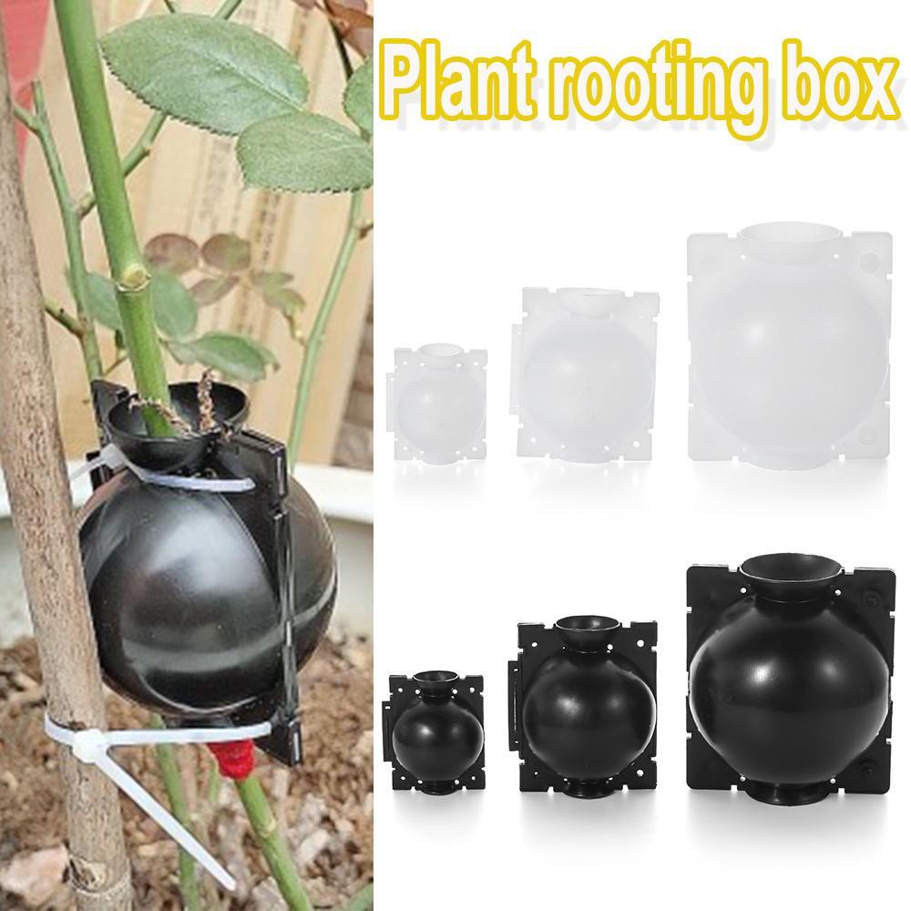 Hộp Điều Khiển Botany Root 3 Chuyên Dụng Chất Lượng Cao