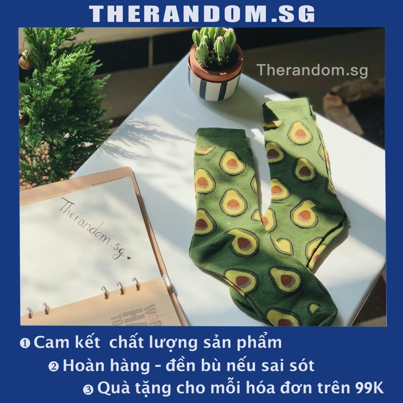 🌟 HÀNG XỊN 🌟 Vớ/ Tất Hoạ Tiết Trái Bơ Cổ Cao Mang Giầy Tây Unisex Chất Đẹp