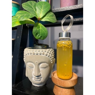 Trà giảm cân Kombucha trái cây vị CHANH LEO chai thuỷ tinh 250ml