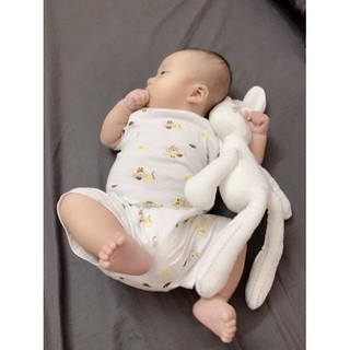 Thỏ Trắng Ôm Ngủ