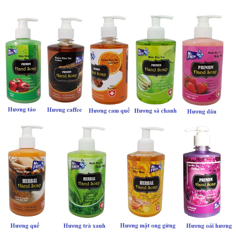 Nước rửa tay Premium Hand Soap khử mùi Mr.Fresh 500ml