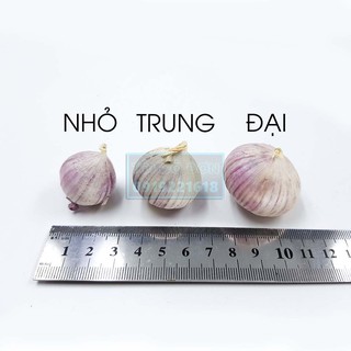 Tỏi cô đơn ( 2KG LOẠI TRUNG).