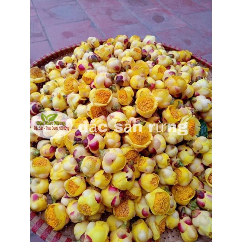 Trà Hoà Vàng Quảng Ninh Sấy Lạnh 50g - Đặc Sản Rừng