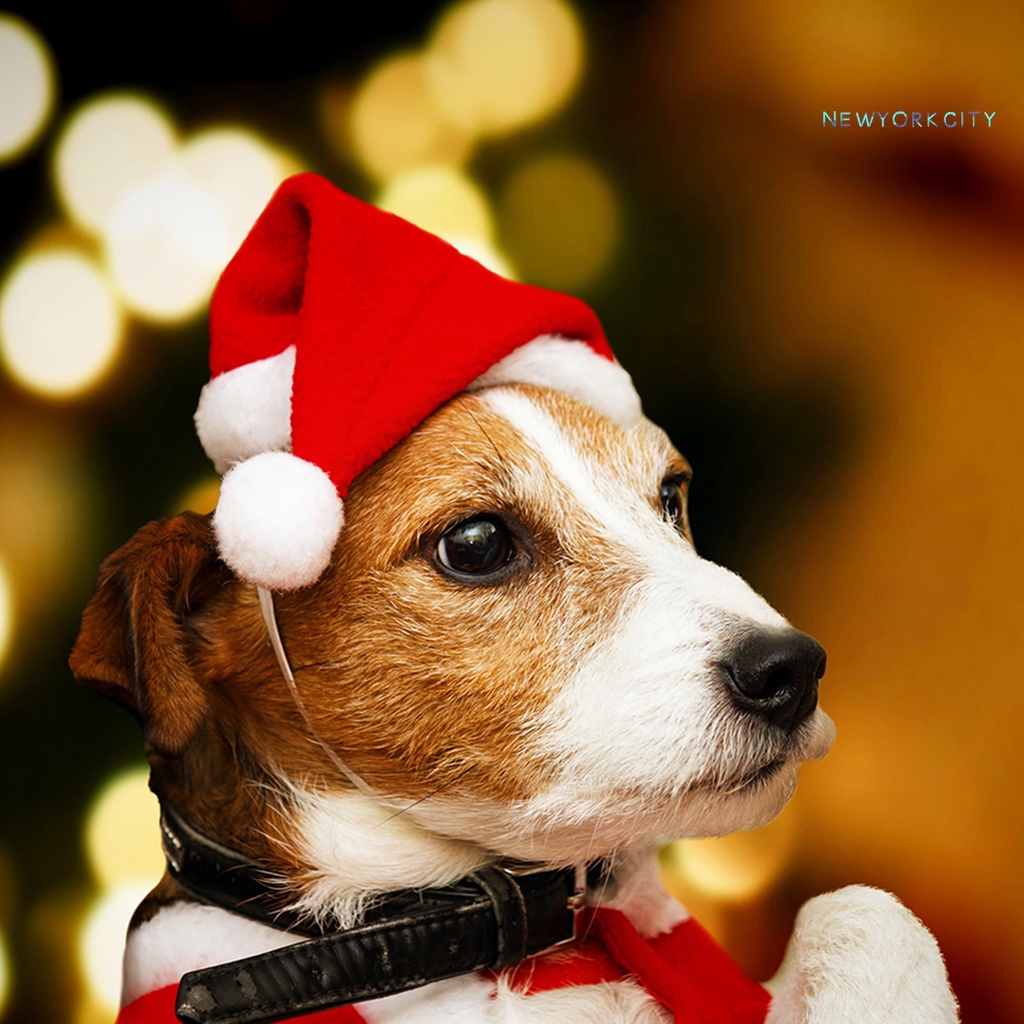 Mũ Ông Già Noel Nhồi Bông Xinh Xắn Cho Thú Cưng