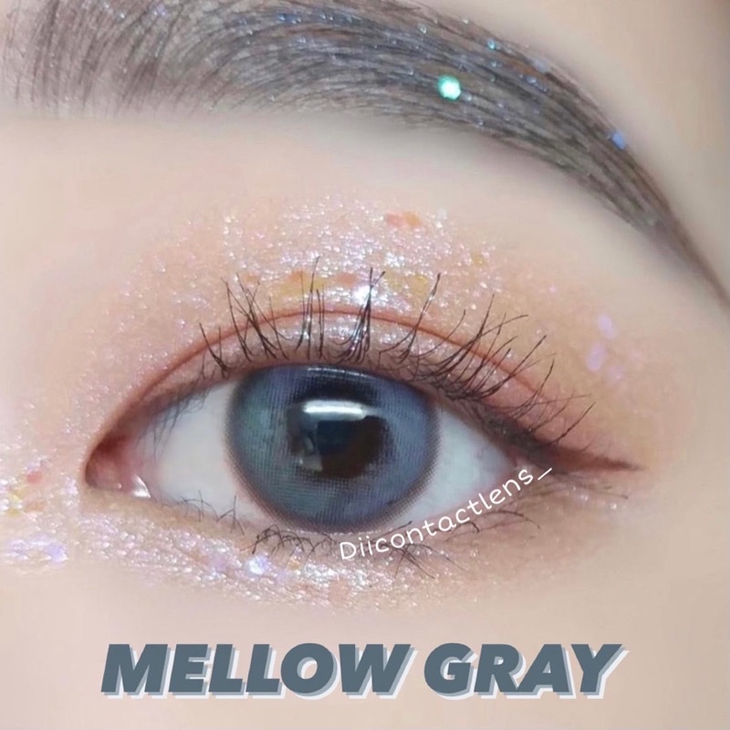 Kính áp tròng MELLOW GRAY