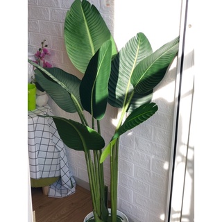 cây chuối giả 1,2m loại xịn giá rẻ