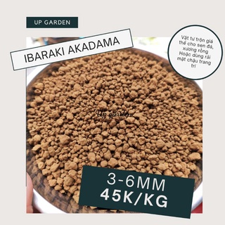 AKADAMA - 1KG [Đất trang trí và giá thể trồng sen đá xương rồng]