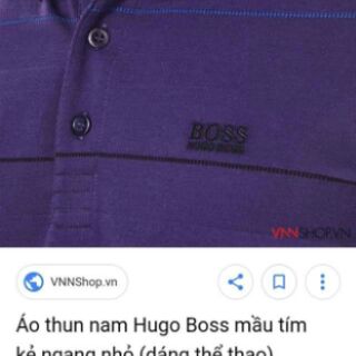 Vải ms lệ quyên