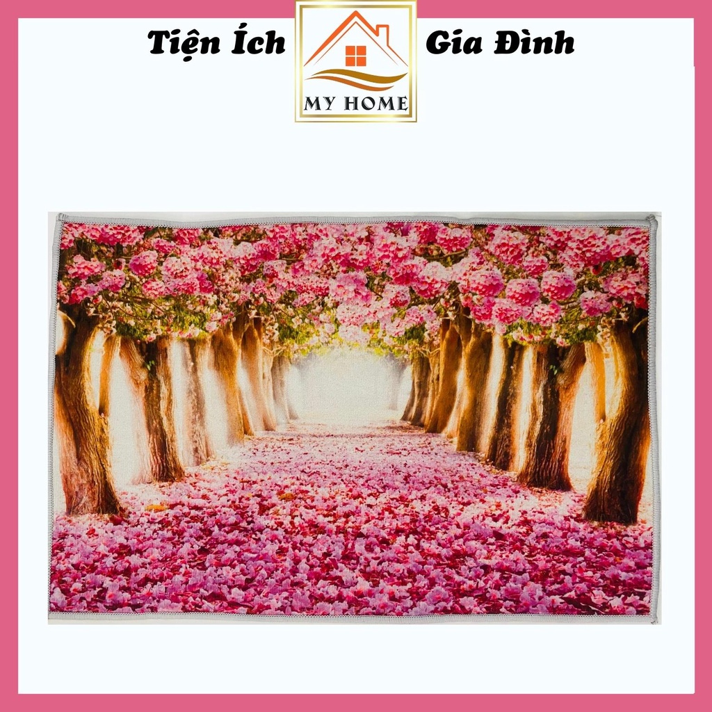 Thảm lau chân 3D, thảm chùi chân phòng khách họa tiết cực đẹp, kích thước 40x60cm