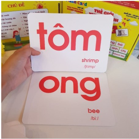 Bộ Thẻ Học Thông Minh Song Ngữ Flashcard Loại To Khổ A5 Giúp Bé Phát Triển Ngôn Ngữ