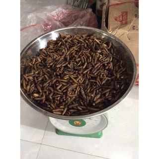 100g sâu canxi khô cho thú cưng