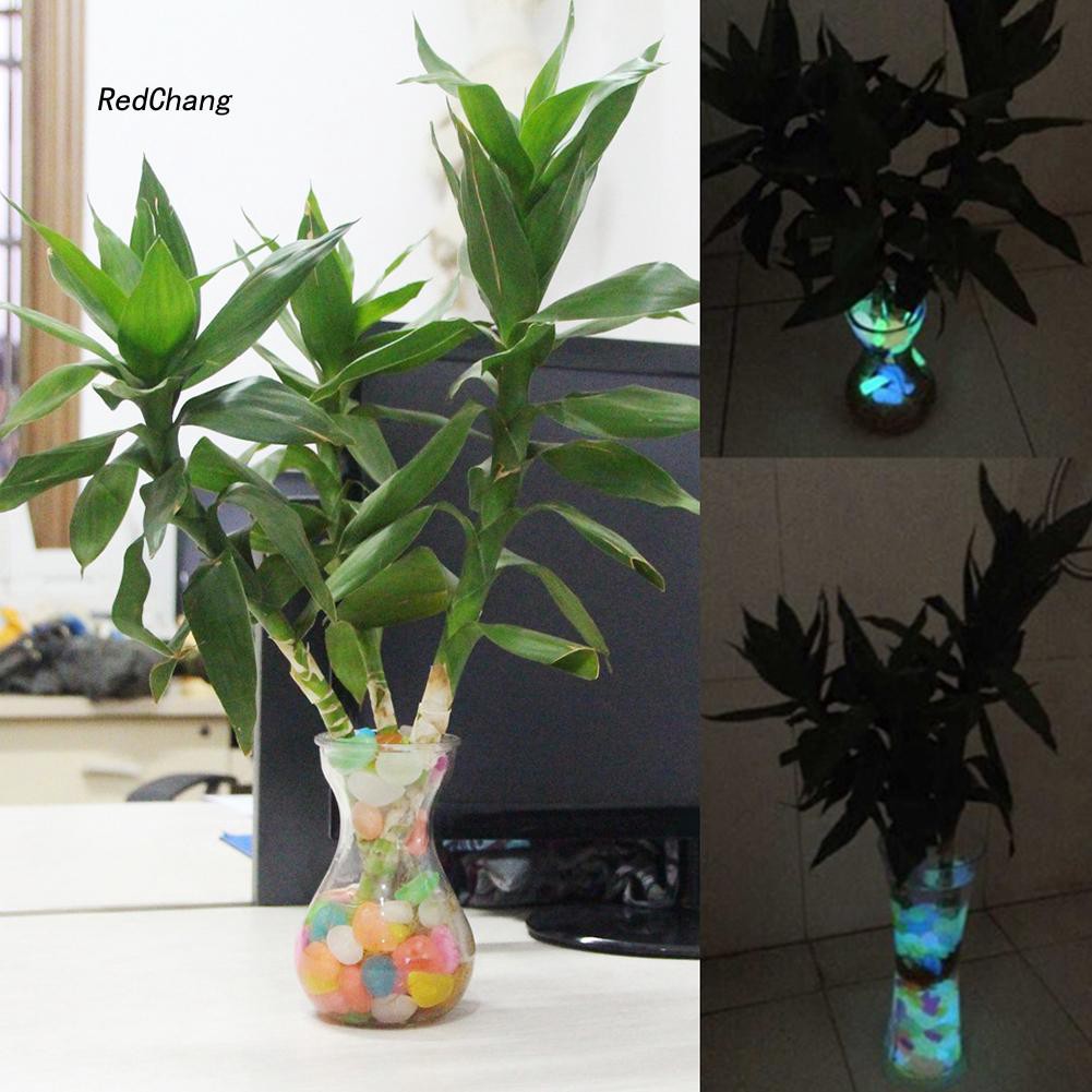 Bộ 100 viên sỏi phát sáng trang trí bể cá