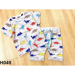 Bộ cotton khủng long bé trai