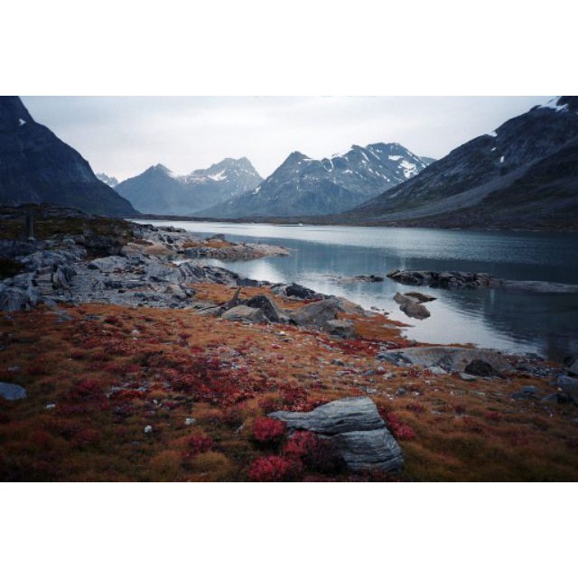 Film Chụp Ảnh  Fuji Nội Địa Nhật Iso 100