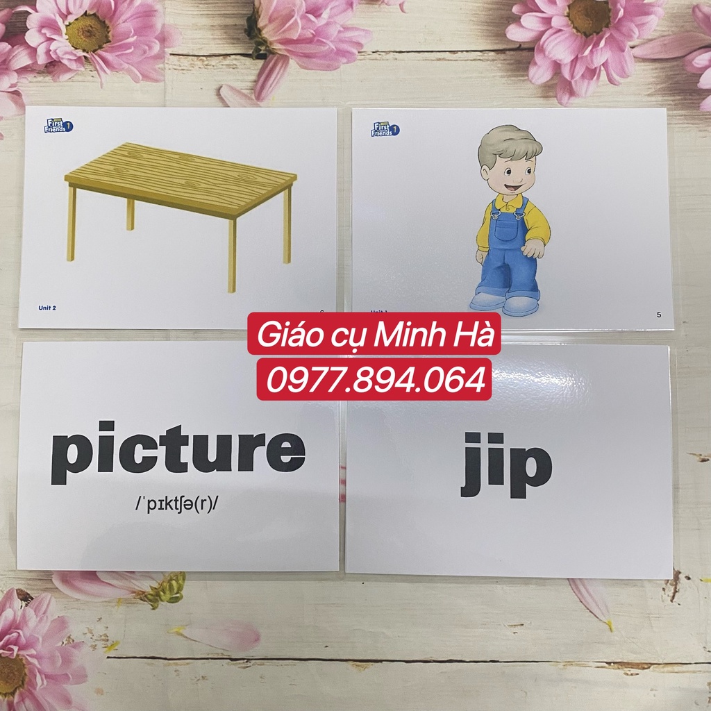 FLASHCARDS TIẾNG ANH FIRST FRIENDS LEVEL 1-2 phiên bản 2nd ép plastic