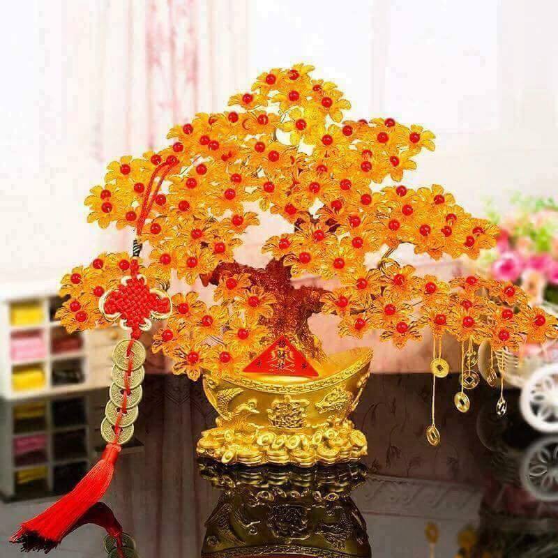 cây kim tiền hút tài lộc may mắn vào nhà 25cm | BigBuy360 - bigbuy360.vn