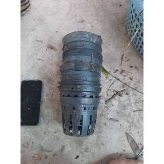10 chậu nhựa trồng lan f12 thanh lý 20k .