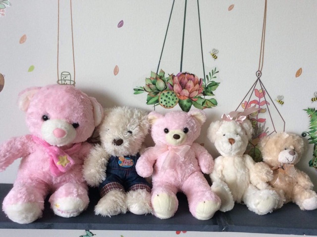 Các set gấu bông teddy đồng giá ( next ảnh )