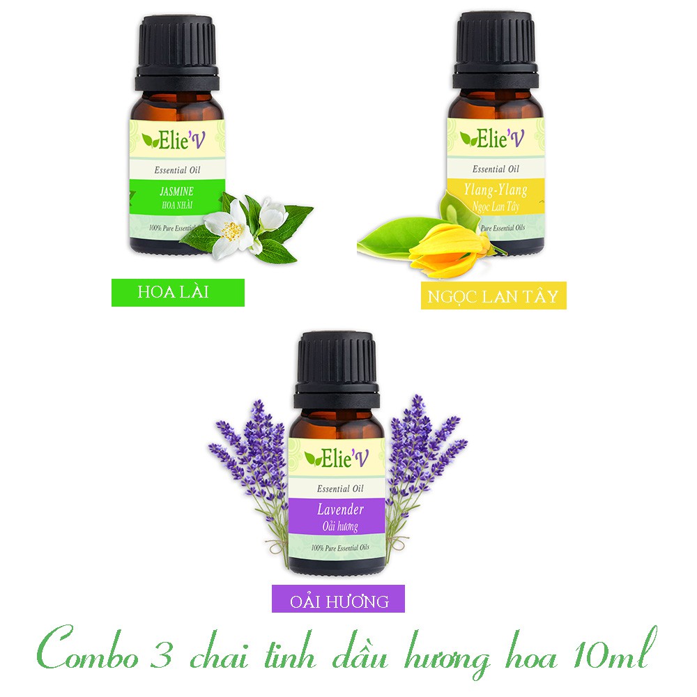 Combo 3 chai tinh dầu hương hoa 10ml oải hương, ngọc lan tây, hoa nhài