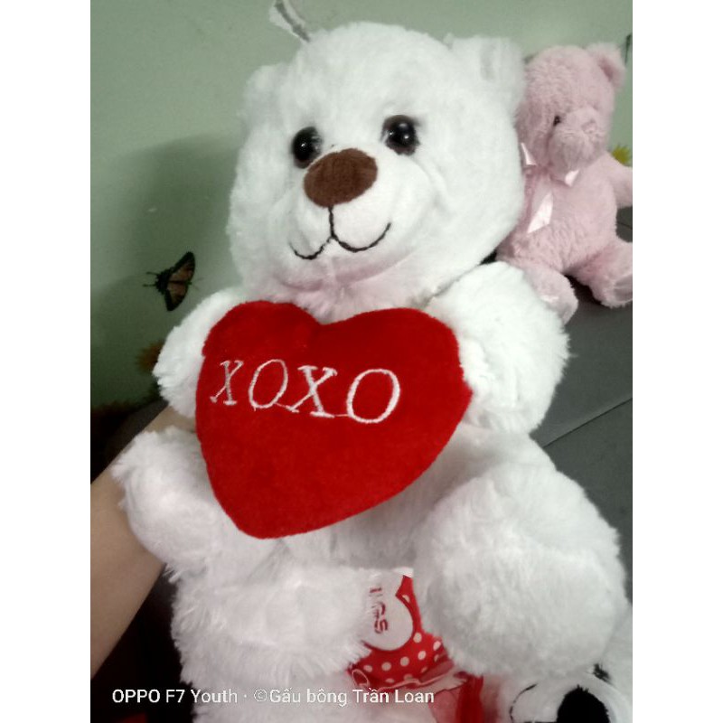 Gấu bông lông mềm mịn s30