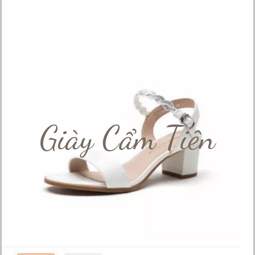 Giày Cao Gót 2p-9p big size 33-44