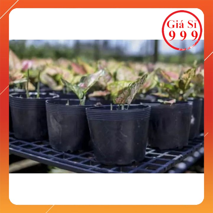2 Chậu Túi Nhựa Dẻo Ươm Cây Đủ Size
