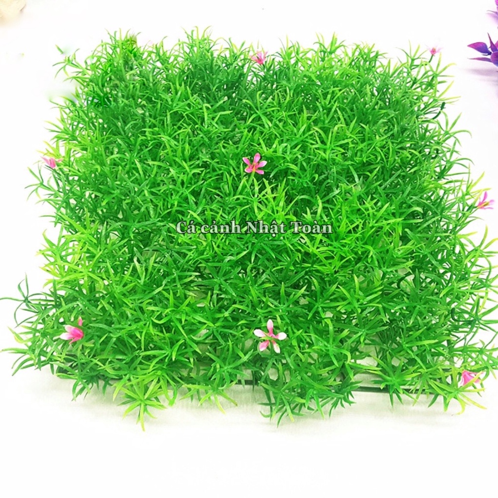 THẢM CỎ NHÂN TẠO BÔNG TRANG TRÍ HỒ CÁ TIỂU CẢNH 25X25CM