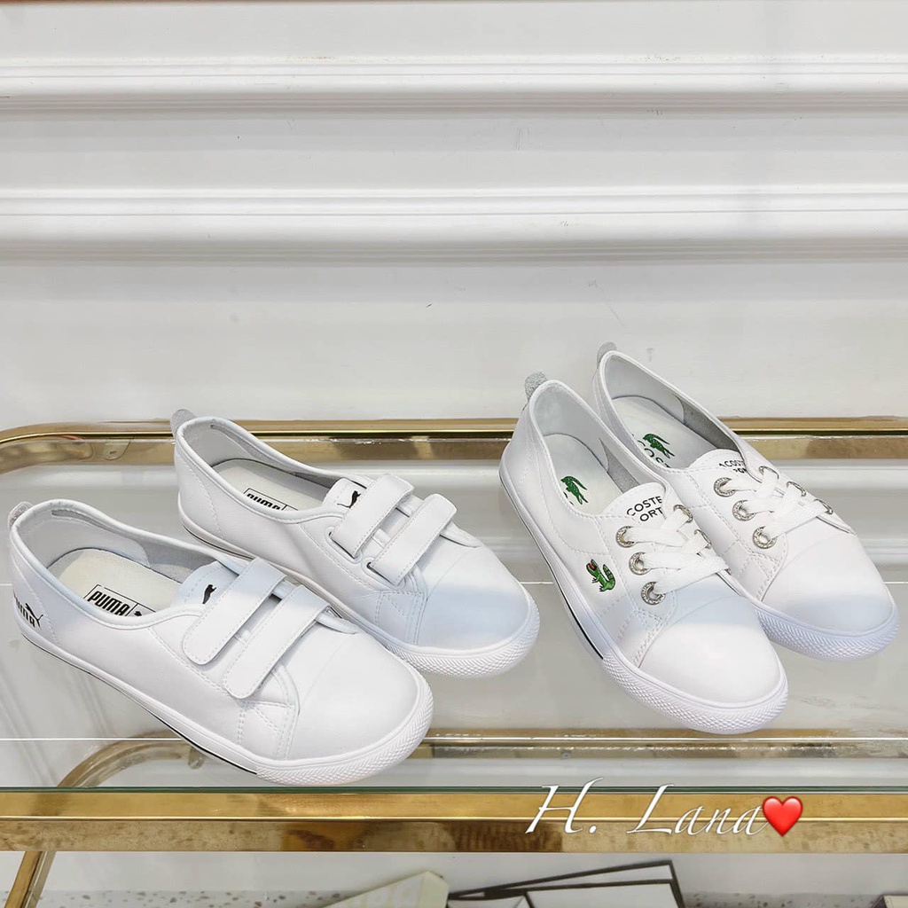 GIÀY SLIP ON THÊU CÁ SẤU HÀNG VỠ BOX