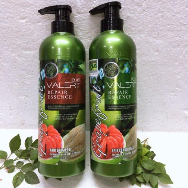 Dầu gội bưởi  Grapefruit + kèm xả ⚡️Chính hãng ⚡️chống rụng tóc, phục hồi tóc | BigBuy360 - bigbuy360.vn