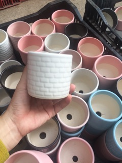 Chậu trồng cây 8cm