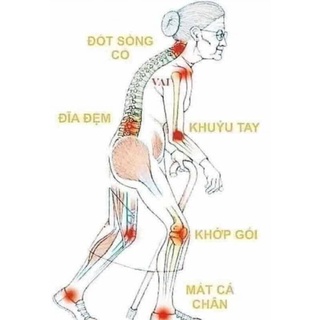 Cao Gắm Dân Tộc Tày [Nông Sản Tây Bắc]