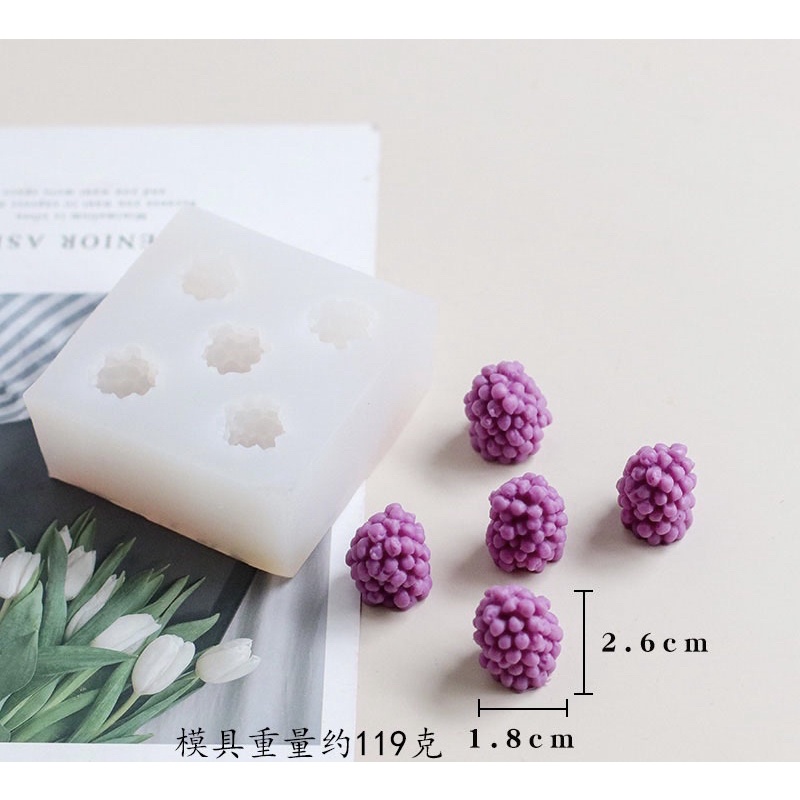 Khuôn silicon trái dâu tằm
