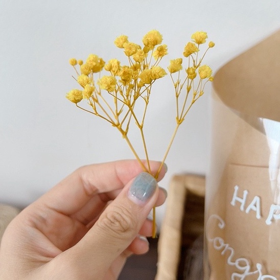 Nhánh hoa baby khô, hoa trang trí thiệp, bánh kem, qùa tặng