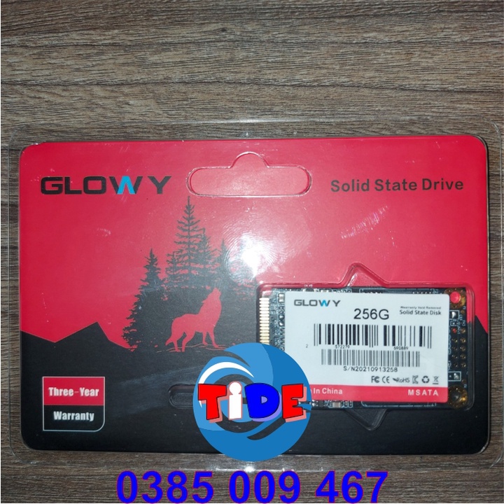 Ổ cứng SSD mSATA Gloway 256GB (Sata3.0) – CHÍNH HÃNG – Bảo hành 3 năm - SSD 256GB