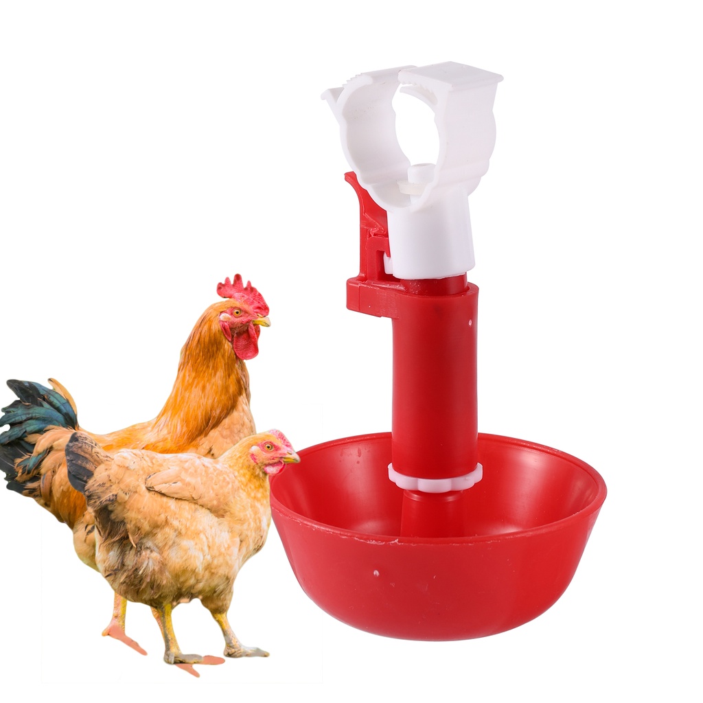 5 Máng Uống Nước Tự Động Cho Gà 1 / 2 ", 3 / 4"