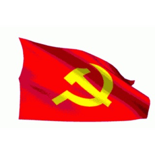 Combo 10 cờ đảng