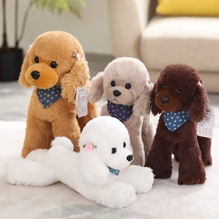 CHÓ BÔNG POODLE QUÀNG KHĂN ĐÁNG YÊU
