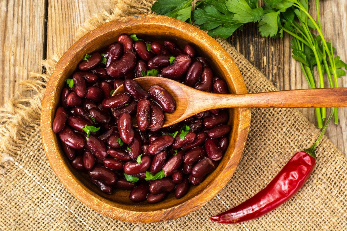 Đậu đỏ tây Dard Red Kidney Beans Argentina thương hiệu Nutrion túi hút chân không 500g