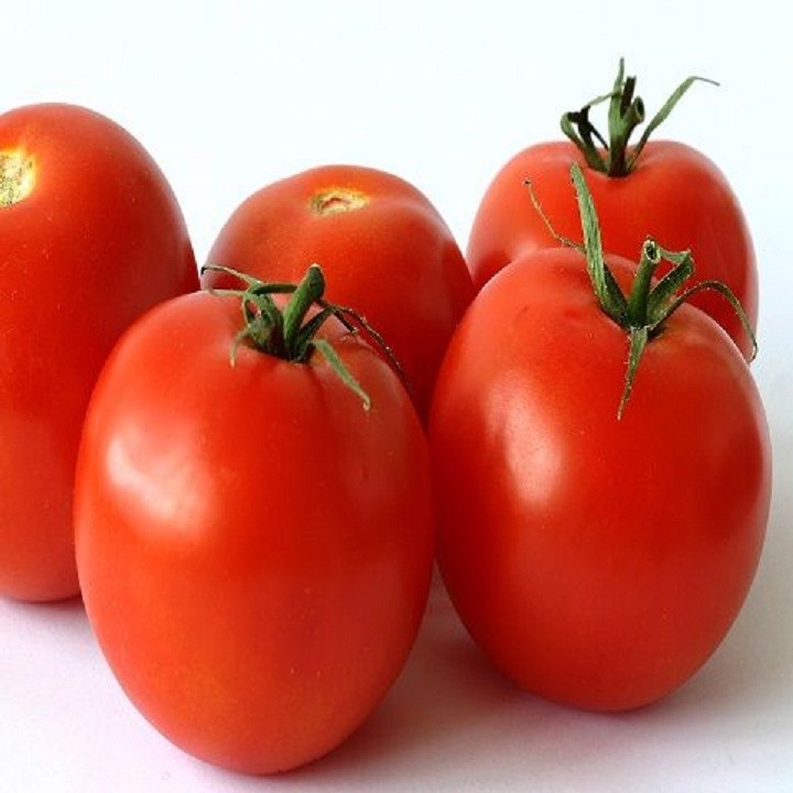 Hạt giống Cà Chua trái trứng F1 INDICA_Cà Chua Chịu Nhiệt Ấn độ 5gr