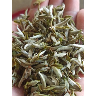 Bạch Trà Tiên ( Hà Giang ) 100g